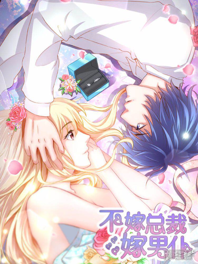 不嫁总裁嫁男仆