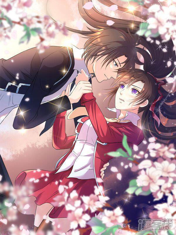 不要打扰我飞升