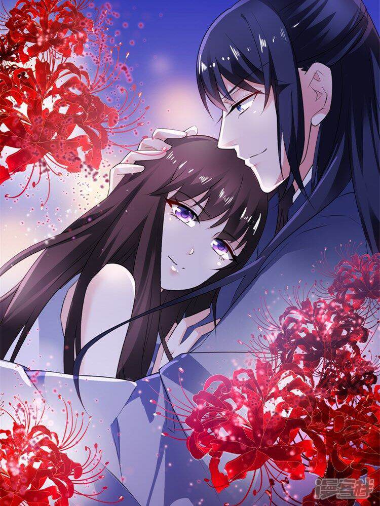 我家公子是上仙