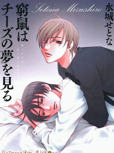 穷途之鼠的奶酪之梦